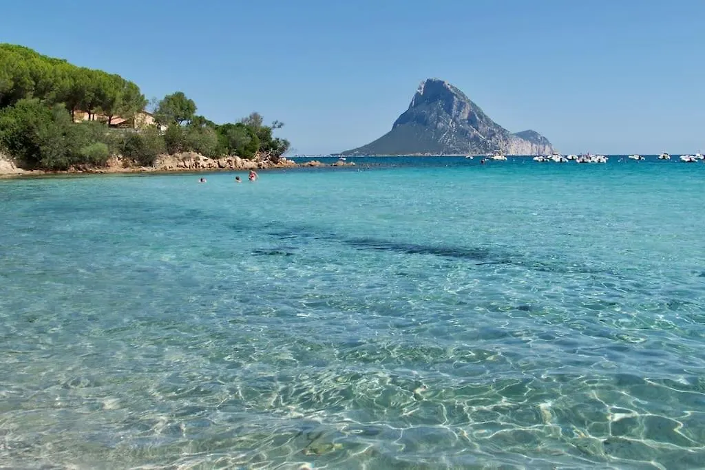Appartement Free Parking 4 Minuti Dal Mare, Bbq Con Cortile à San Teodoro  San Teodoro (Sardinia)