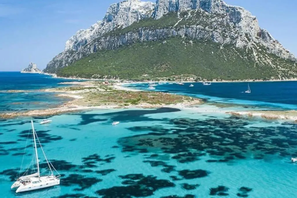 Appartement Free Parking 4 Minuti Dal Mare, Bbq Con Cortile à San Teodoro